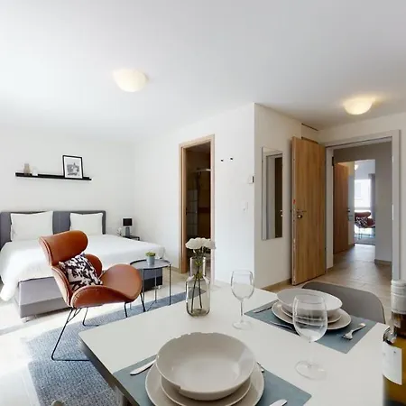 Furnished Studio #203 - Swiss Aigle